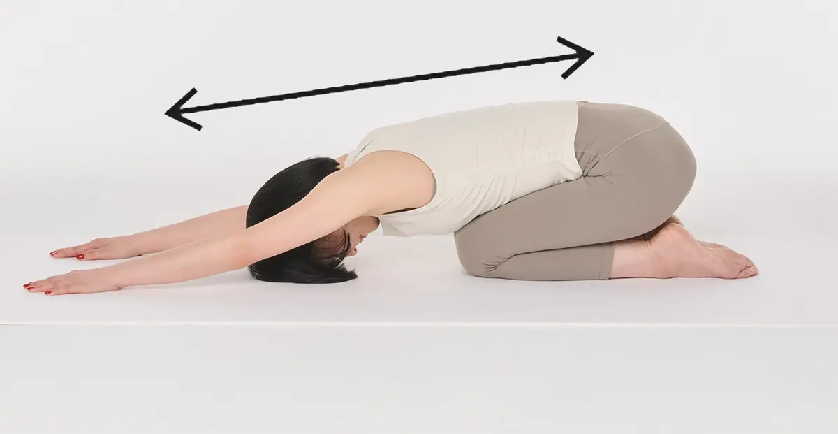 上体を前に倒し、手のひらを下にして腕を前に伸ばす