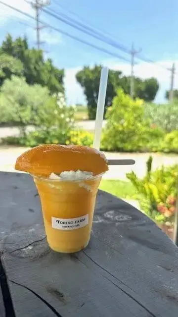 宮古島 TORIKO FARM