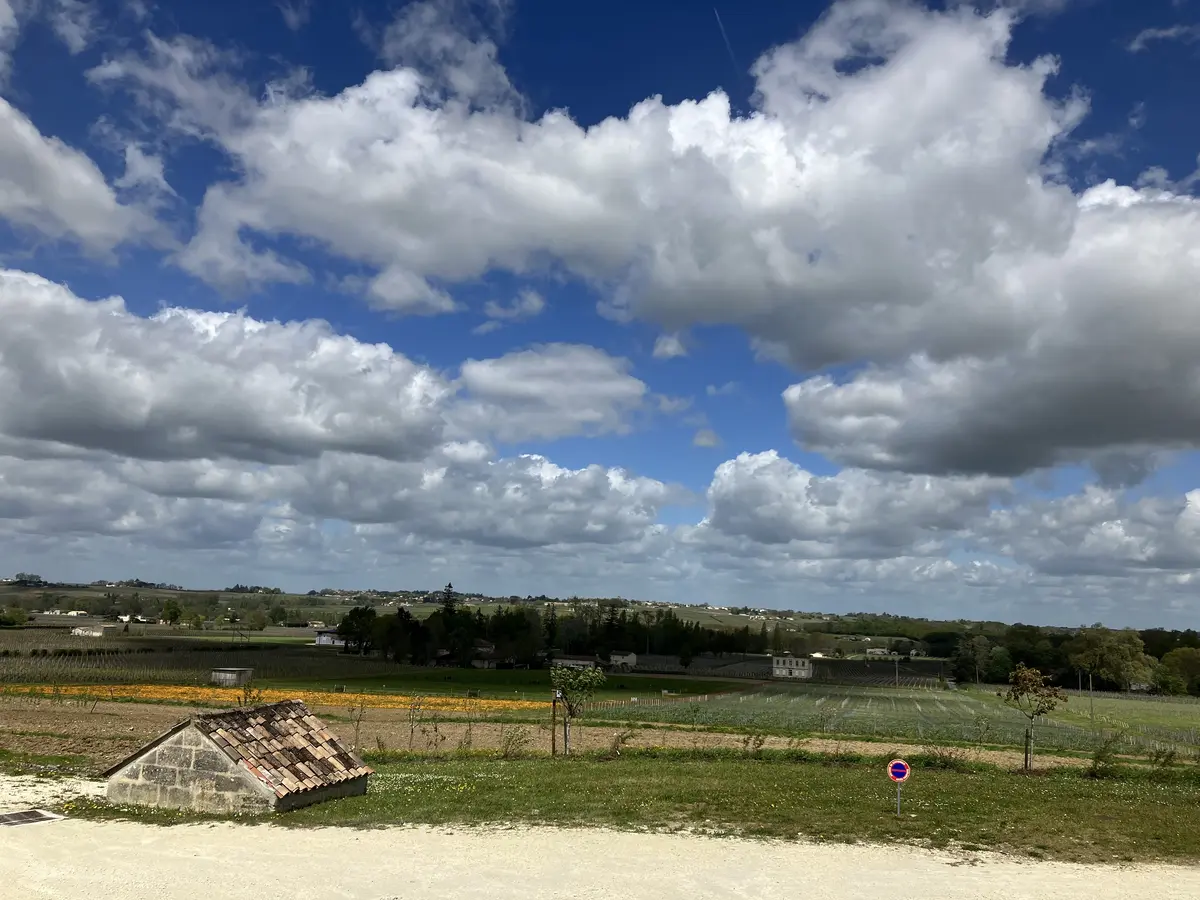 フランス旅行#2 サンテミリオン編の画像_6