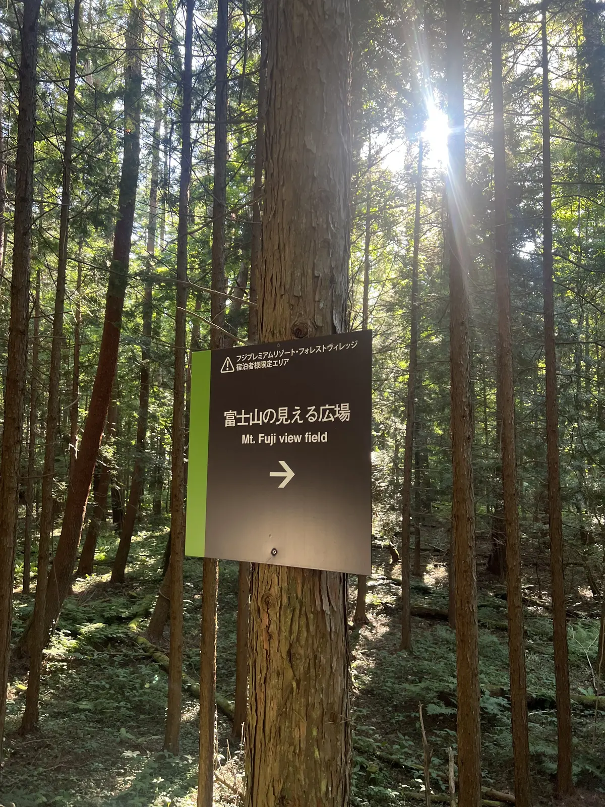 富士山の見える広場では犬も放せます