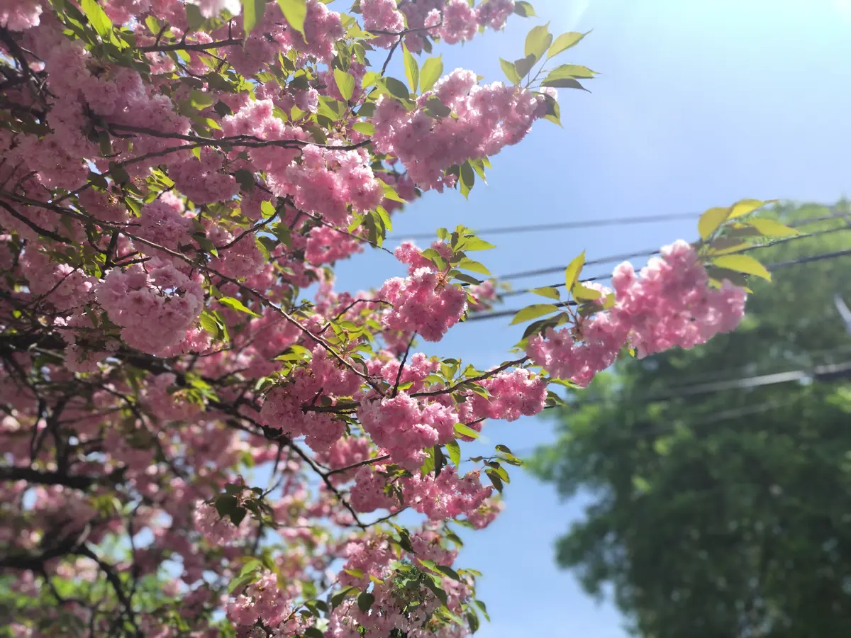 GWは、近場を散策👀の画像_14