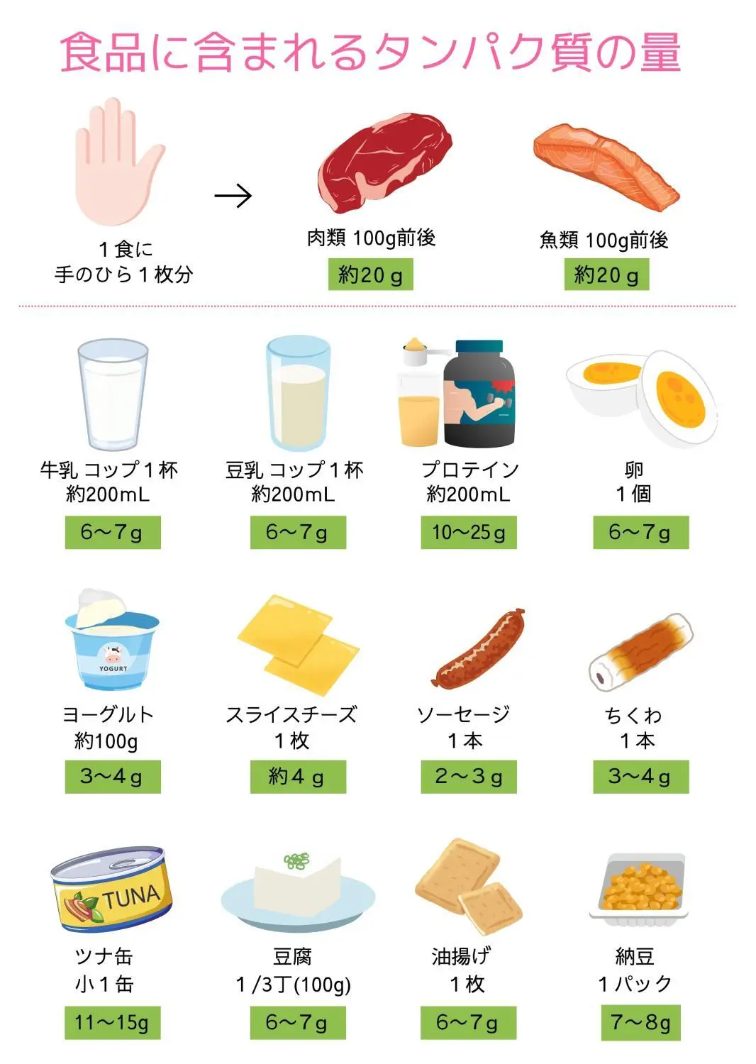 OurAge×Webエクラ　食品に含まれるたんぱく質の量