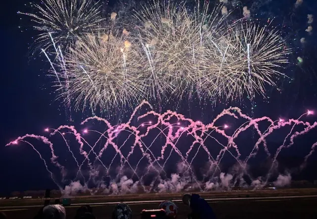 国内旅行　秋田　秋田旅行　角館　大曲　秋田犬　花火大会　武家屋敷　秋田土産　秋田銘菓　  比内地鶏　羽田空港　秋田空港　日本酒　地酒　地ビール  桜　花見 もろこし　日本三大花火　秋田駅