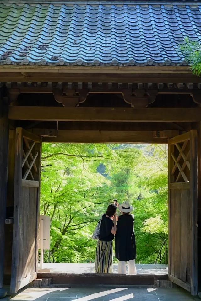 涼を求めて♪鎌倉おすすめランチと風鈴時間の画像_12