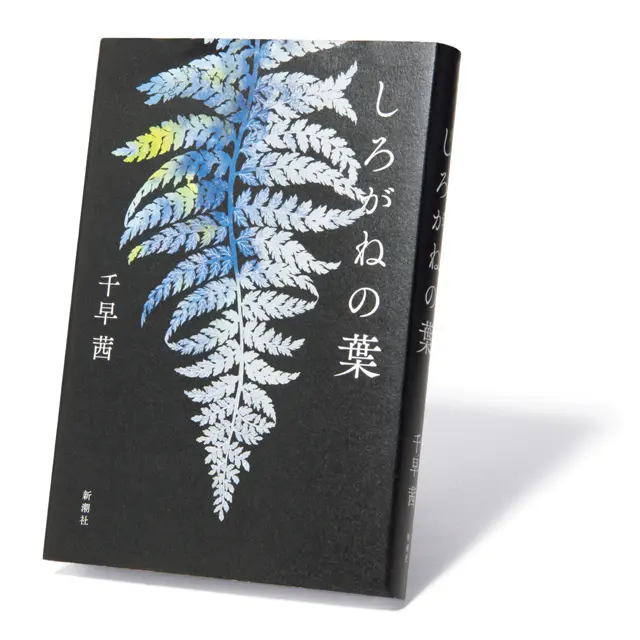 『 しろがねの葉 』