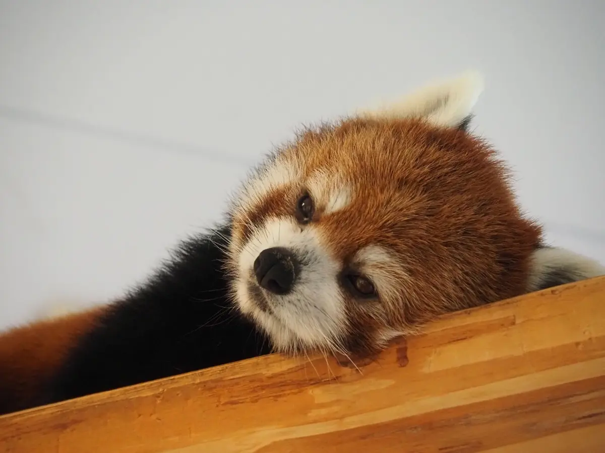 初めての和歌山県!!紀南方面へ2人旅♡～の画像_6