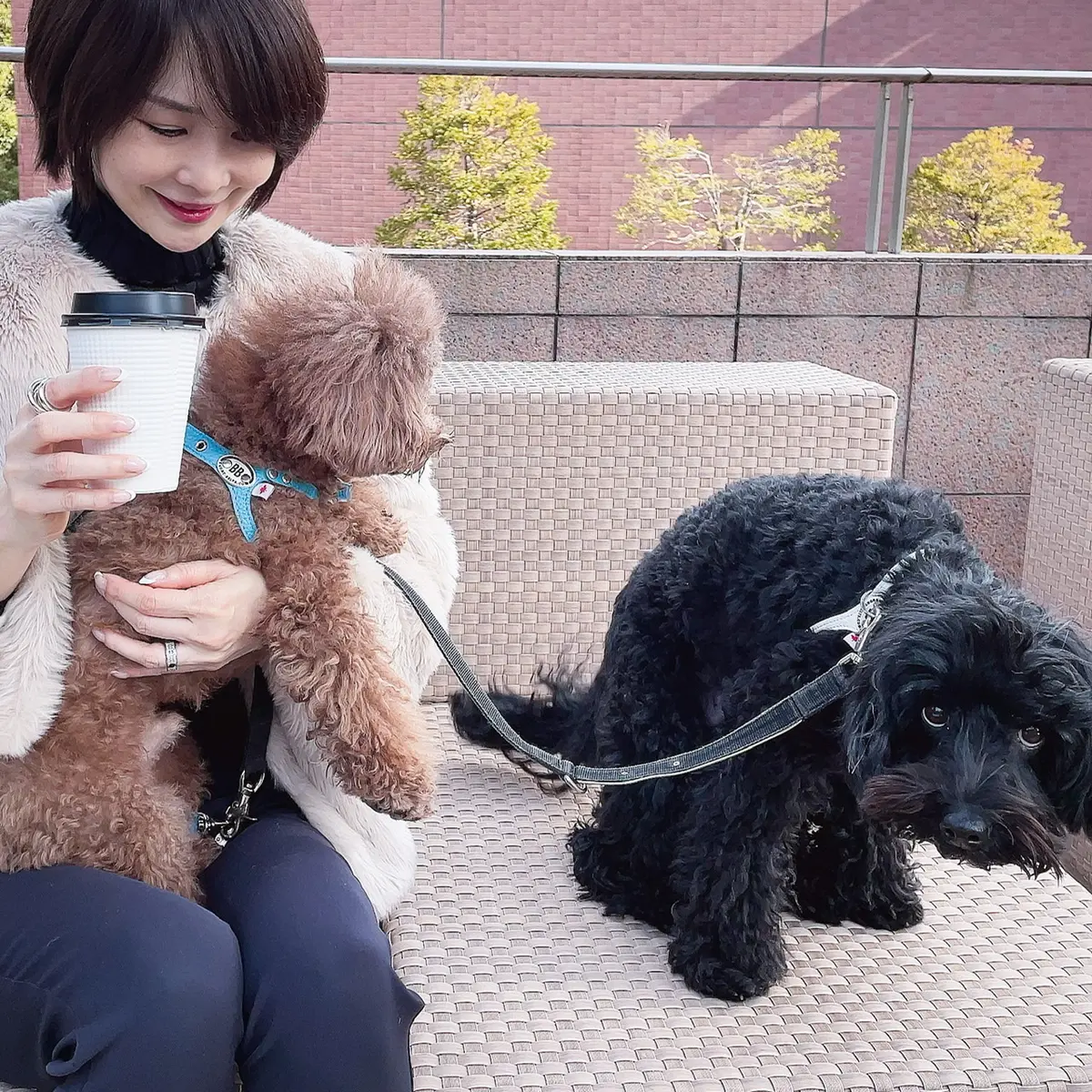 オン・オフ 兼用　エコファーコートの画像_2