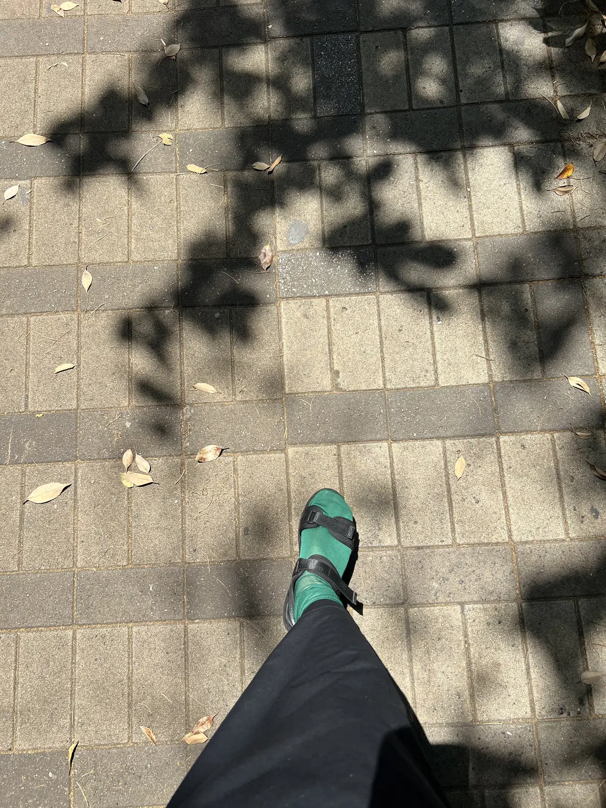 昭和レトロ　水口宜子　エクラ華組水口宜子さん