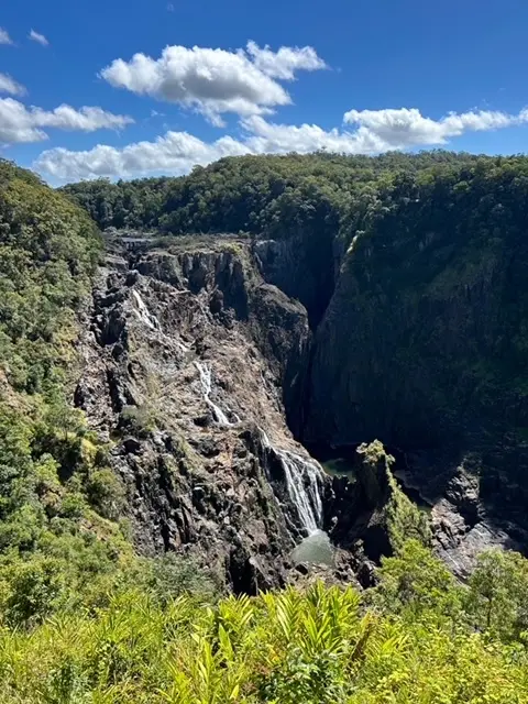 オーストラリア・ケアンズの旅②「世界の車の画像_2