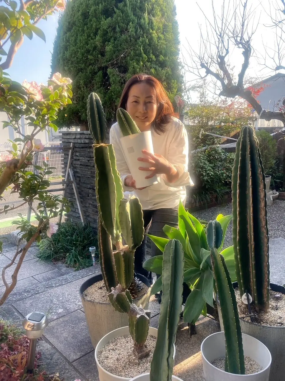 チームJマダム みきぽち