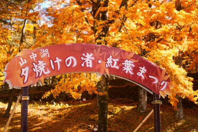 彩りの秋、紅葉真っ盛りの山中湖ドライブ♪の画像_3
