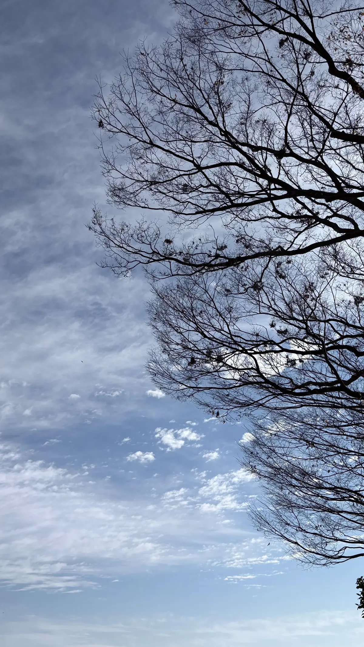 冬の空　鎌倉　冬空　晴れの日