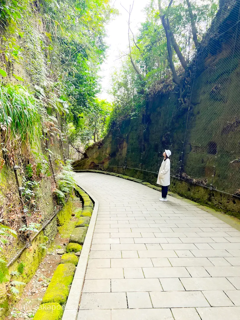 【さかぽんの冒険】前編☆無人島で奇跡のラの画像_11