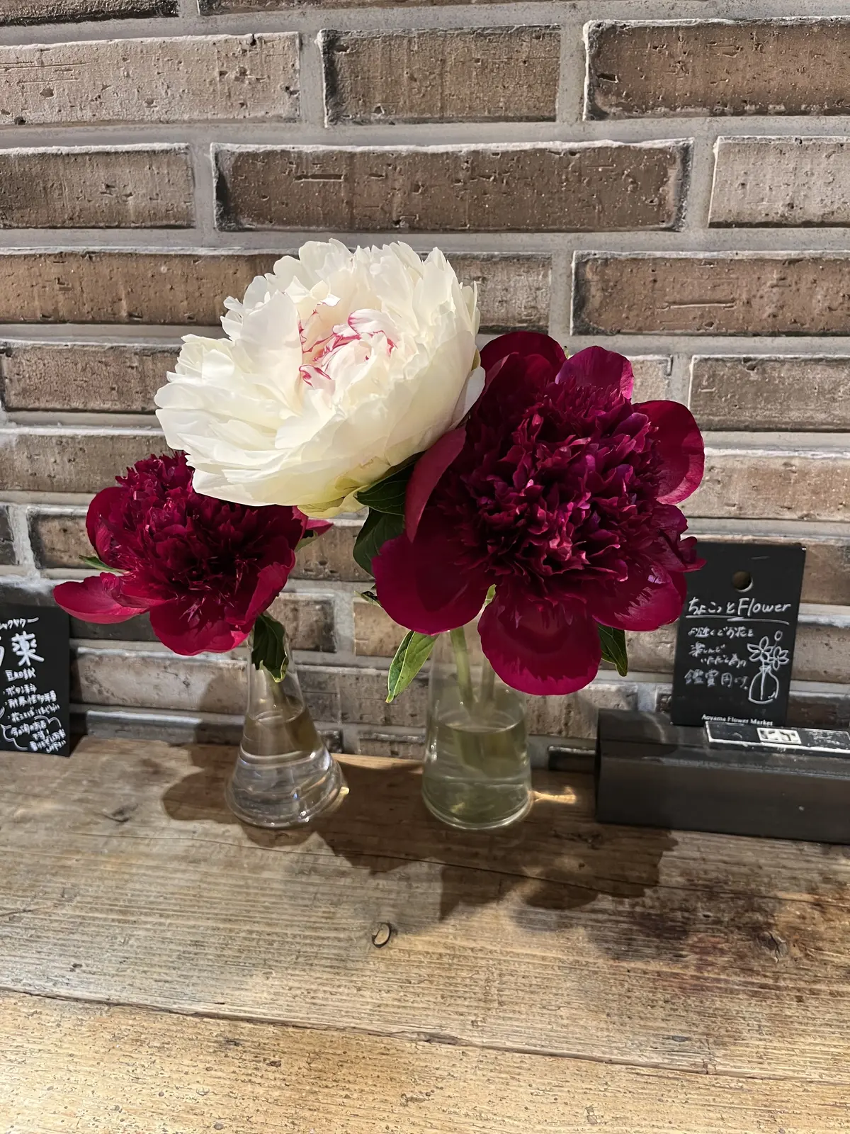 今が旬と言えばの画像_3