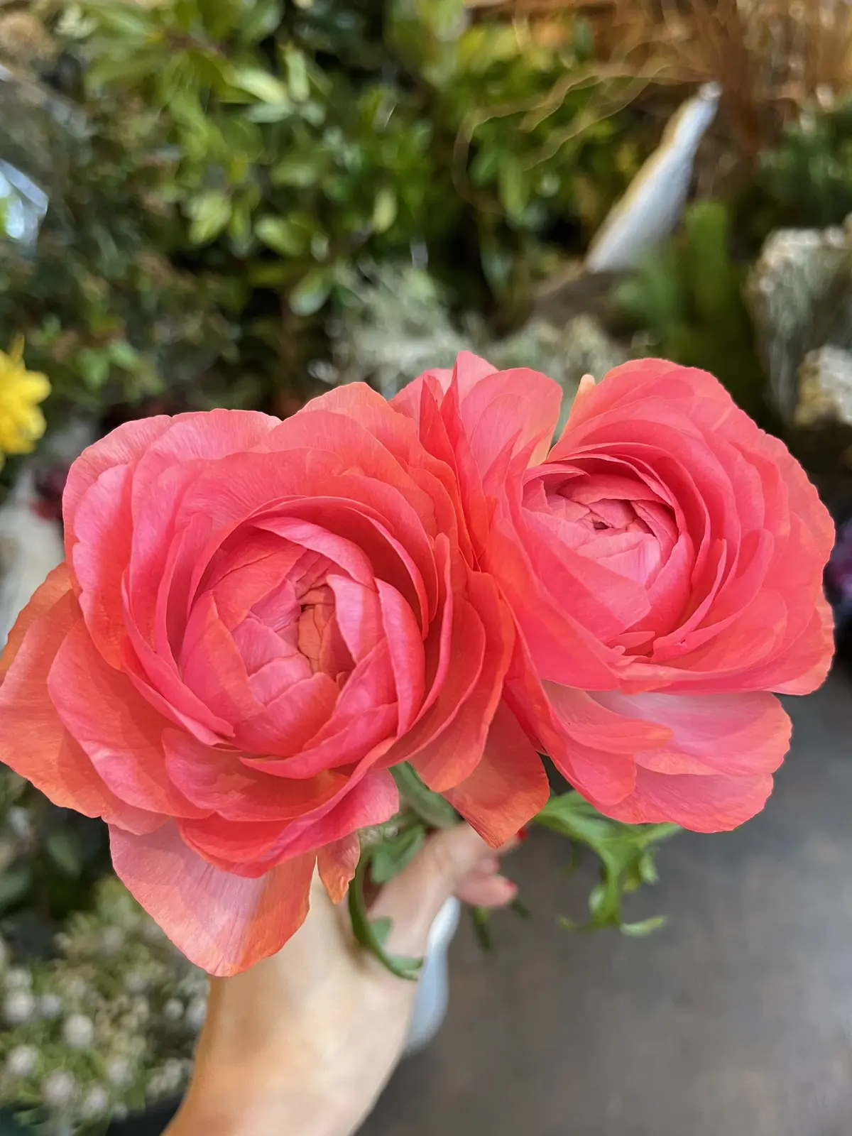 2024最後のブーケを束ねにの画像_8