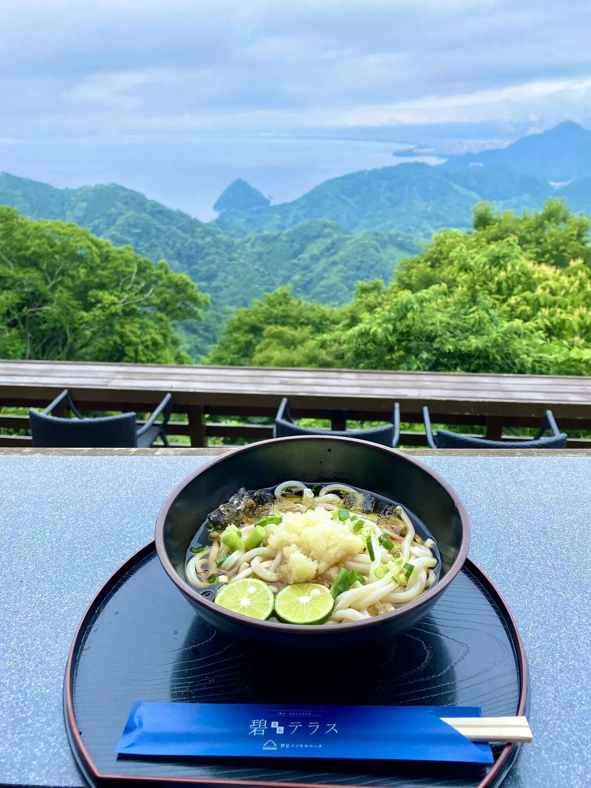 碧テラスのお食事処で、すだちうどんをテラスで食べた