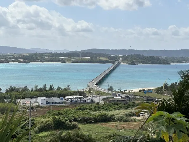 家族旅行沖縄の旅の画像_2