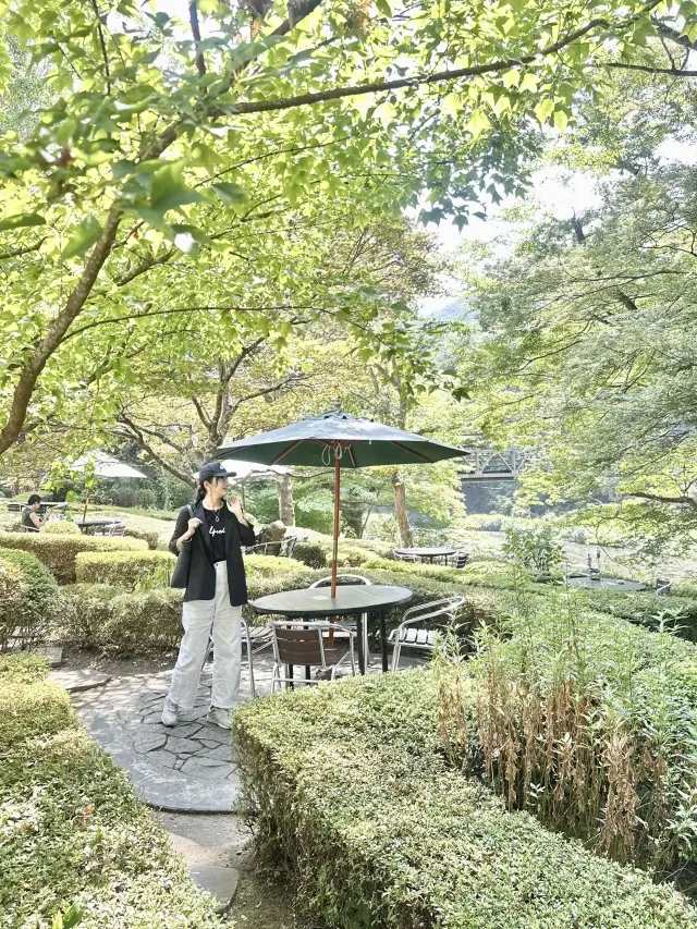 奥多摩プチトリップの画像_1