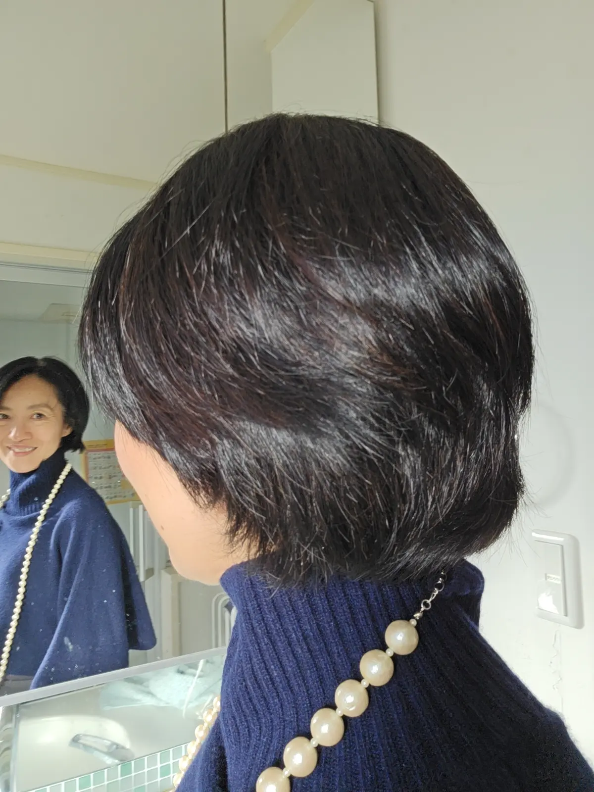 リファビューテック リセッターを手に入れの画像_11