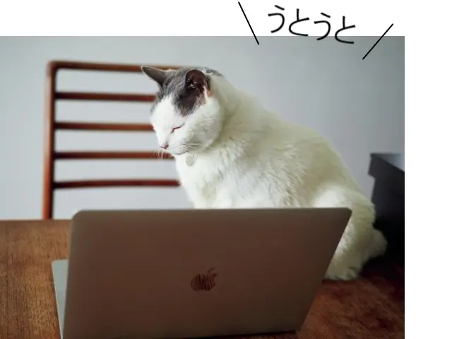 移動先で直ちにねむねむ