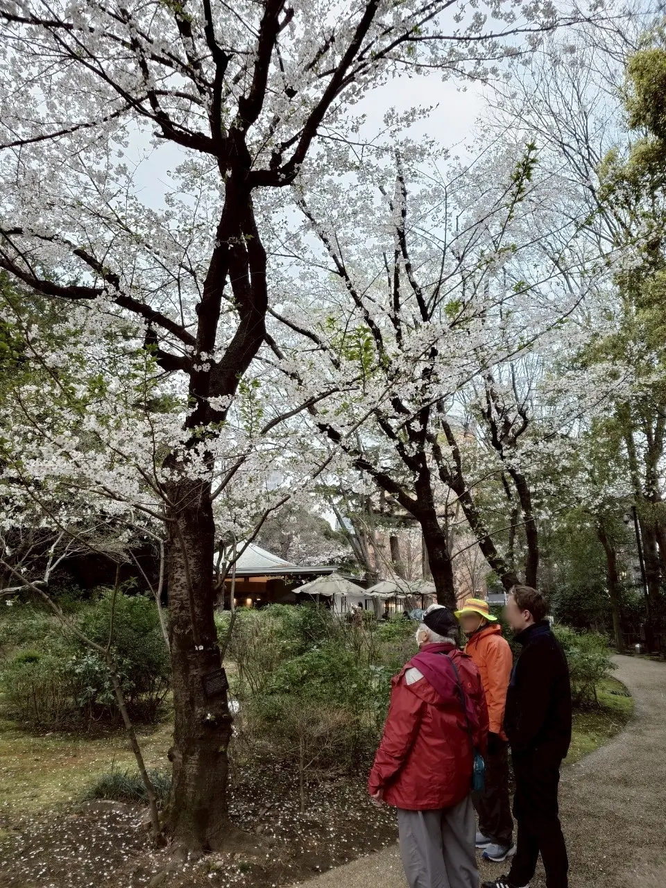東京都庭園美術館