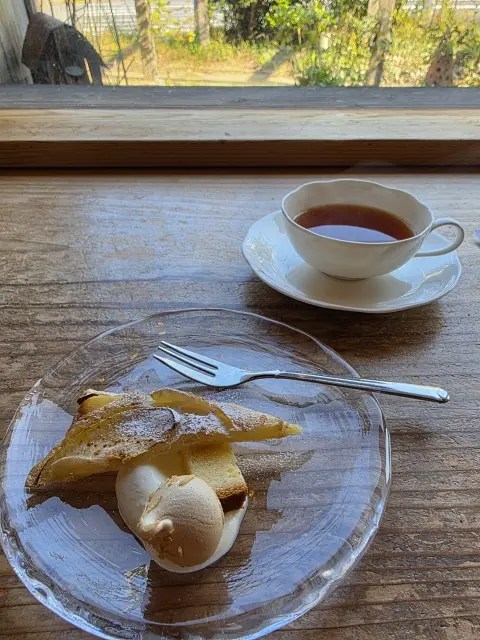 秋の紅葉とランチの画像_15