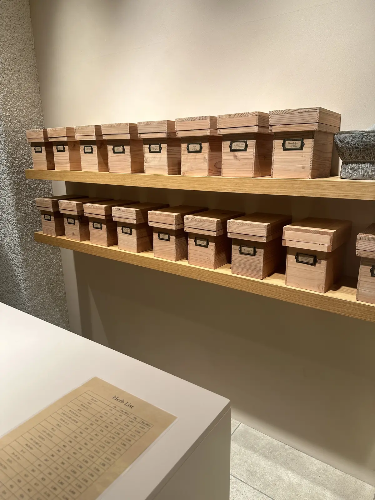 LE BOIS ÉCLAT（ルボア エクの画像_2