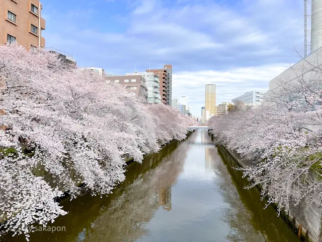 【さかぽんの冒険】AirPods Proの画像_4