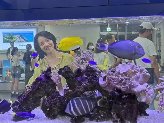 3度目の伊良部島の夏の画像_20