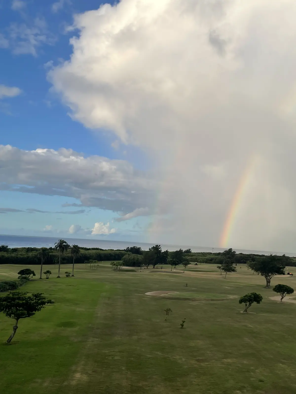 10年後の自分を思い浮かべたことはありまの画像_10