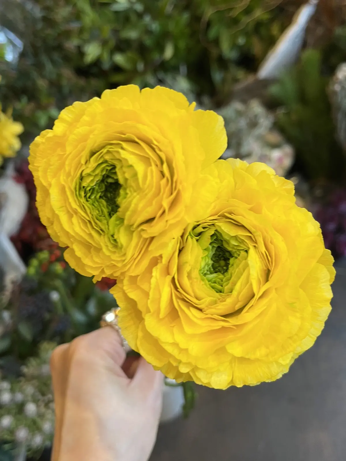 2024最後のブーケを束ねにの画像_7