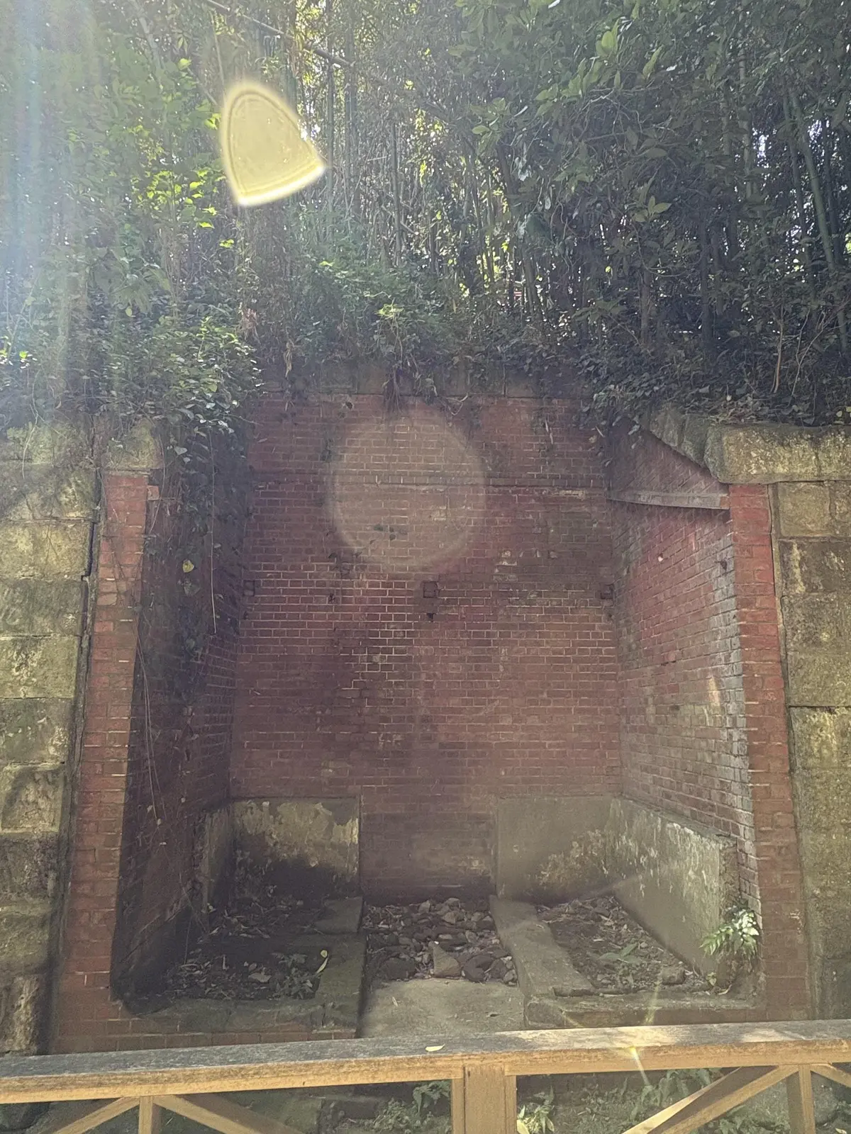 東京湾の無人島　猿島　横須賀　自然島