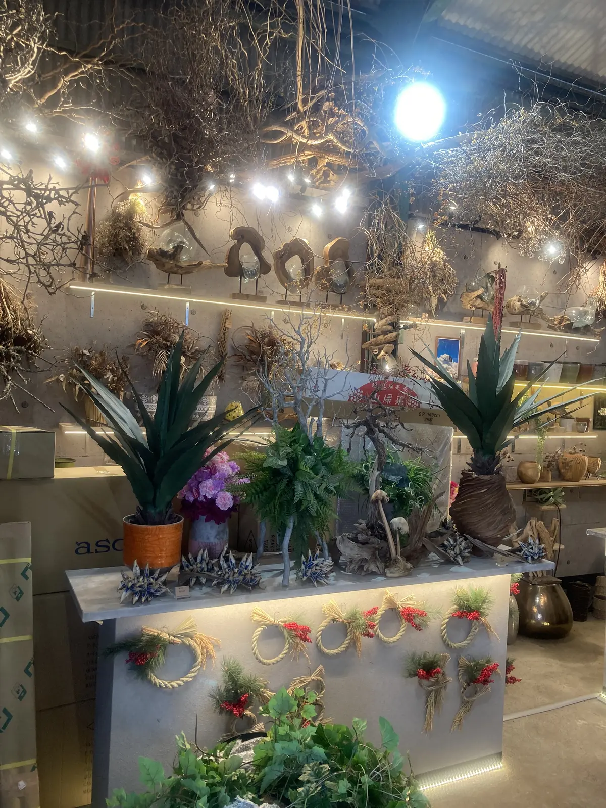 プチ・クリスマス気分を味わいに出かけましの画像_4