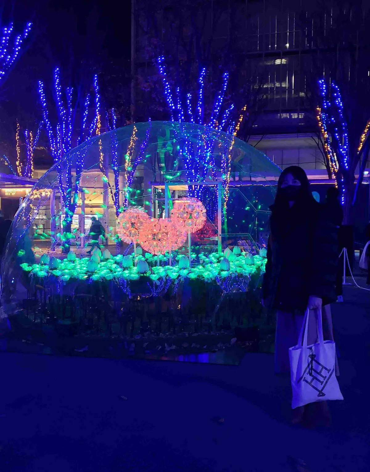 イルミネーション３