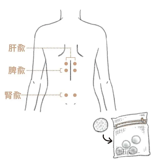 「ツボ押し」で3つの臓にさらなる活力を！