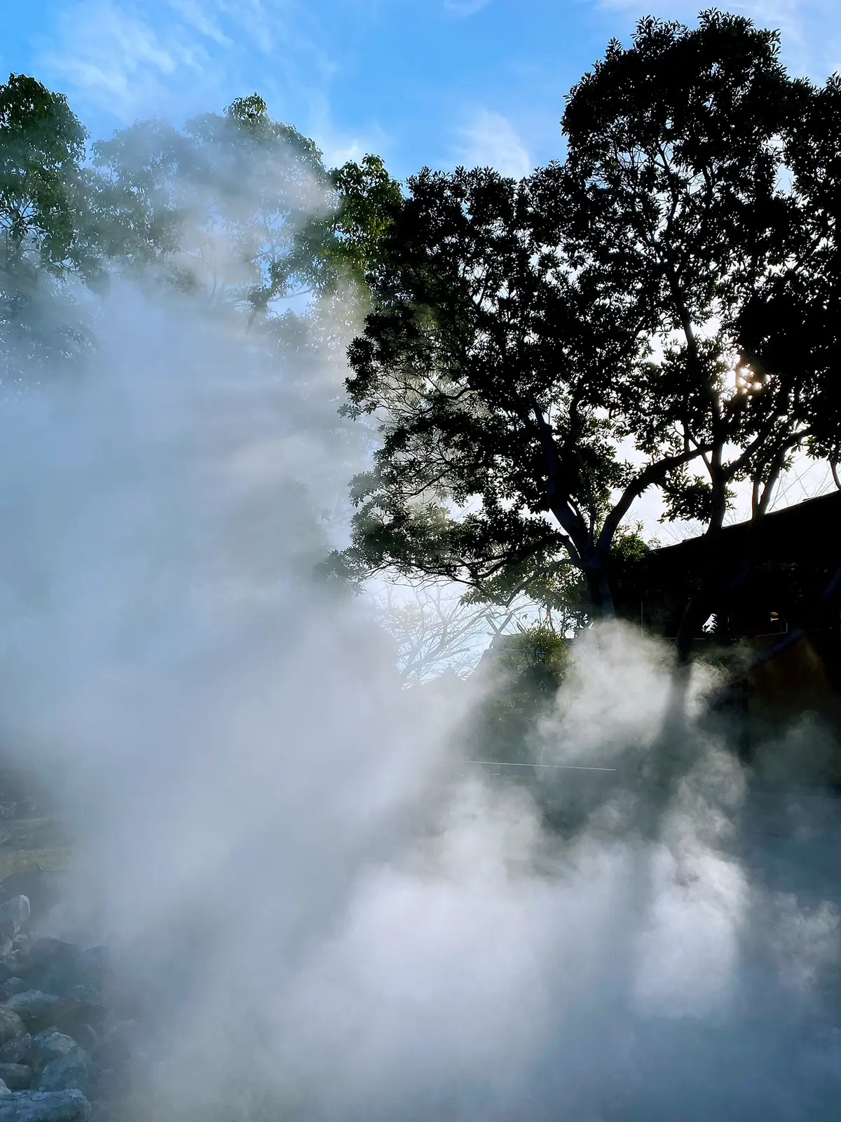 九州旅行へ　〜霧島神社・別府温泉編〜 の画像_10