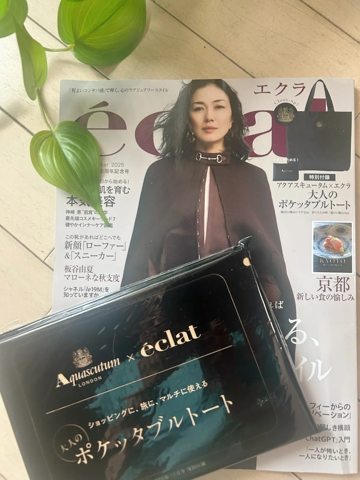 エクラ１０月号特別付録　アクアスキュータの画像_1