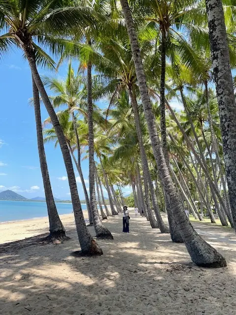 オーストラリア旅行　ケアンズへ☆の画像_2