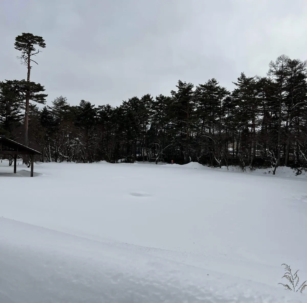 群馬県草津温泉の公園