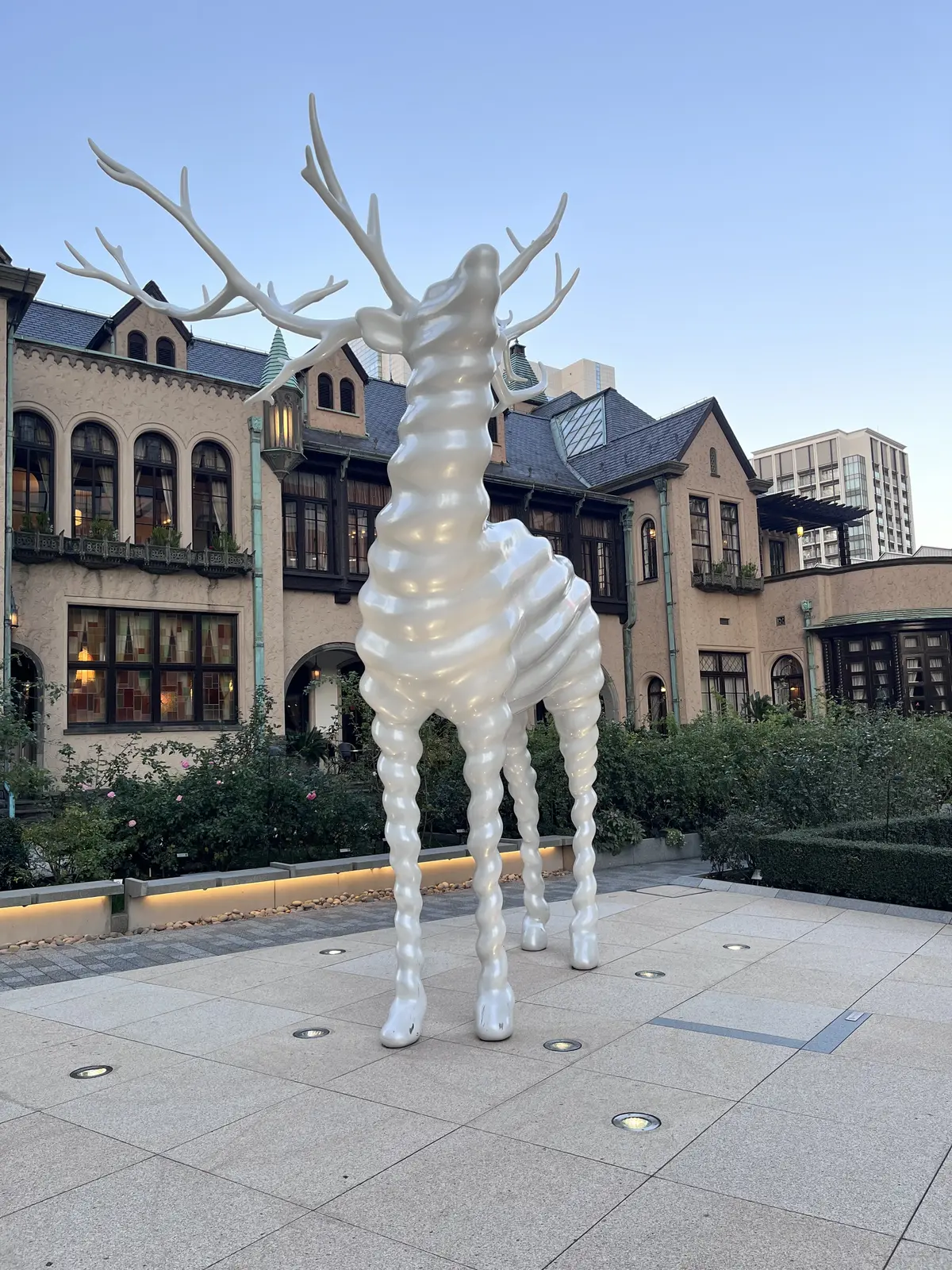 続・続・Jマダムメンバーとキラキラ観賞☆の画像_11