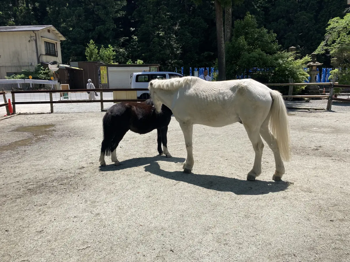奈良県吉野に癒しのドライブ旅行　パート③の画像_11