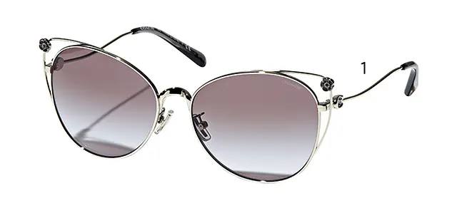 リフトアップしてエレガントな雰囲気「ソフの画像_2