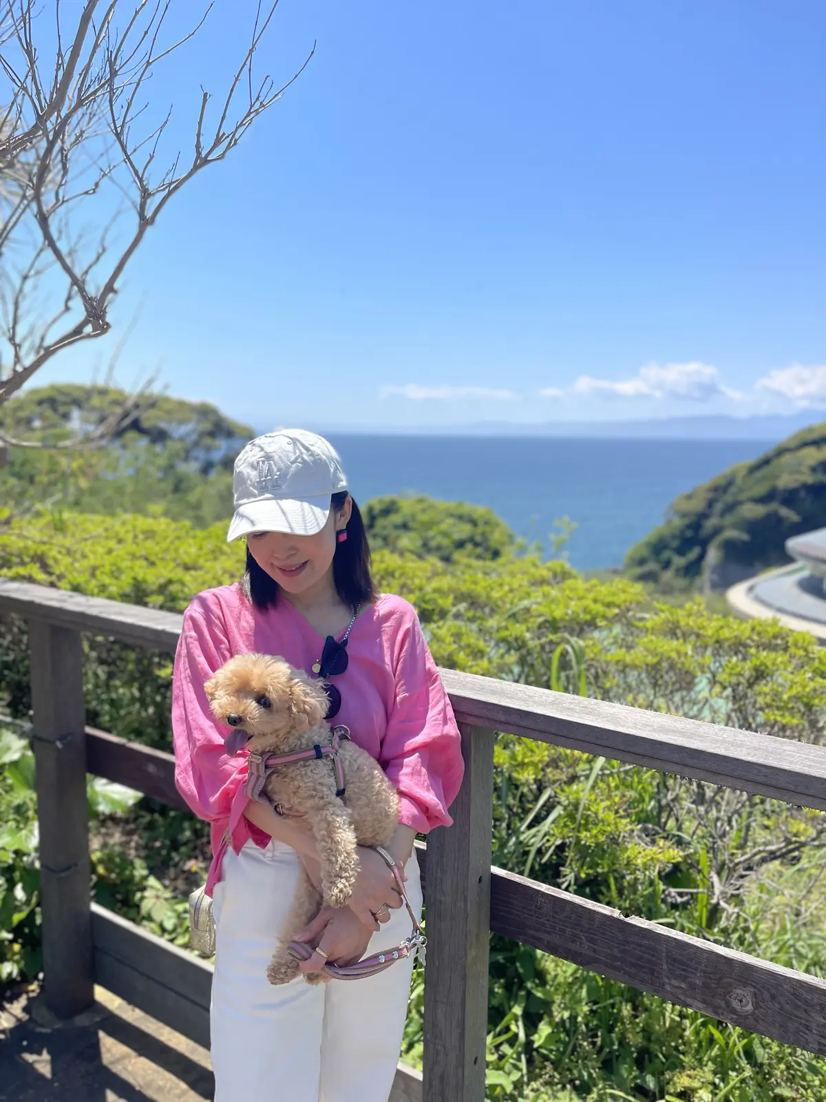 ピンクシャツと白デニムで江ノ島散策の画像_6