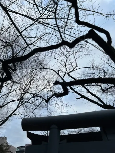 愛宕神社へ初詣♪の画像_18