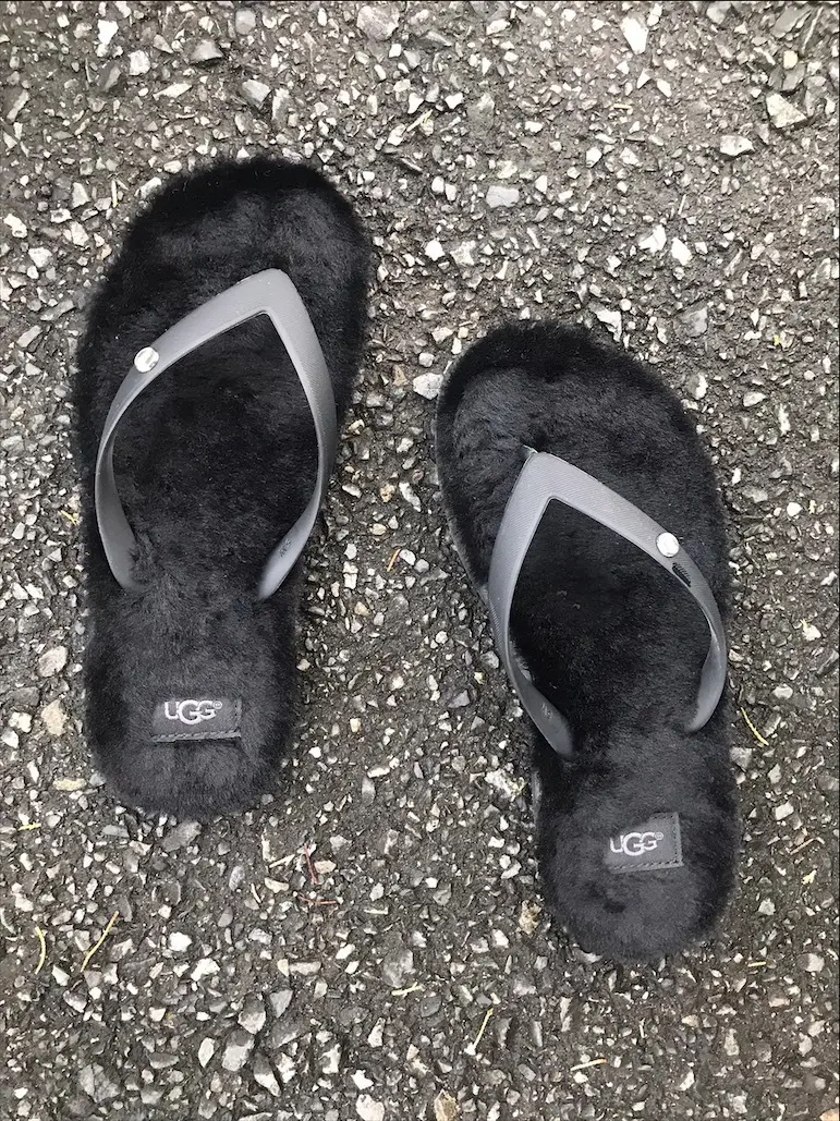 BIGロゴトートはワンマイルのお供にピッの画像_6