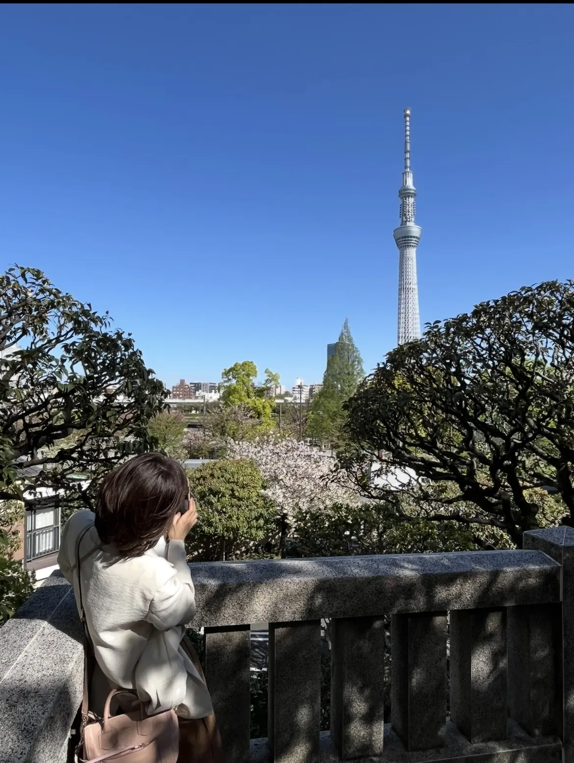 1週間に2回も！Jマダムとの楽しかった＆の画像_11