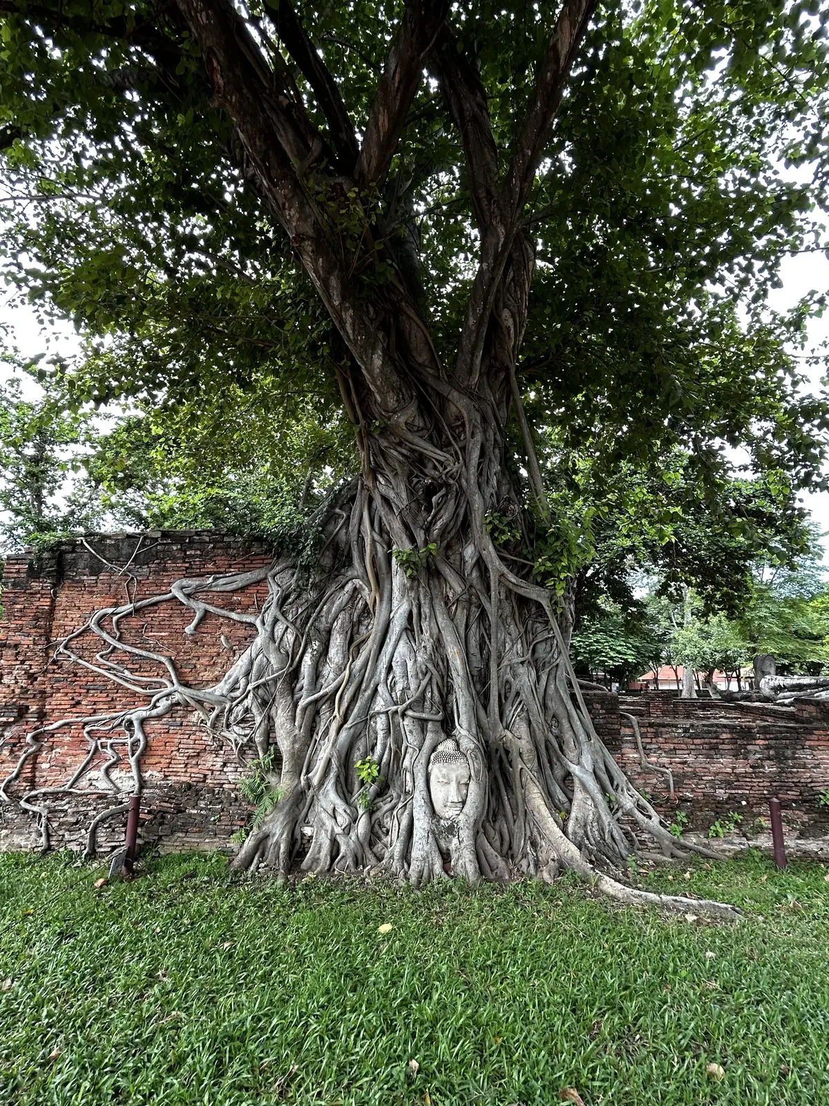 アユタヤ遺跡　行き方　回り方　世界遺産　Ayutthaya 　ซากโบราณสถานอยุธยา