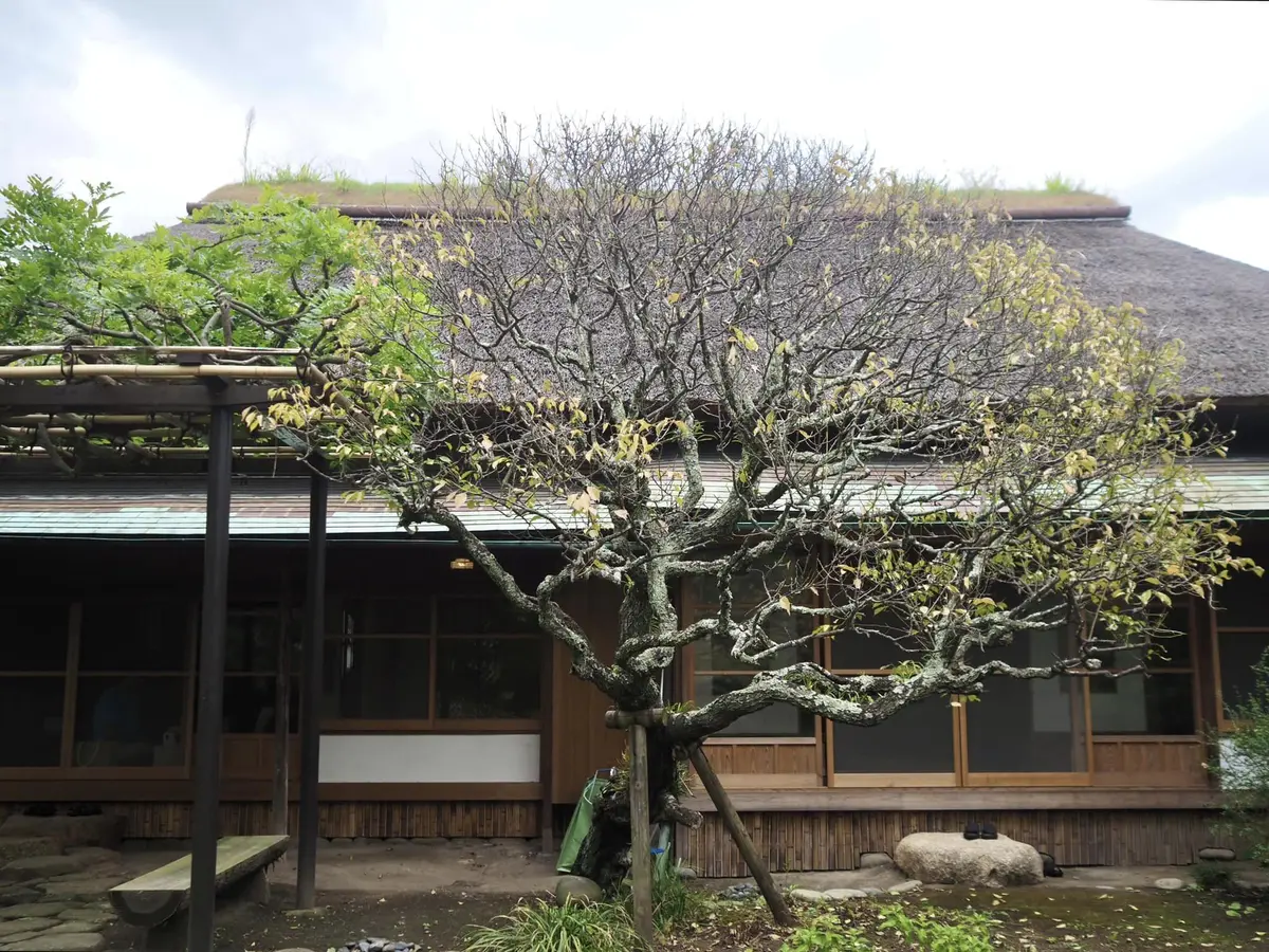 鎌倉をこよなく愛した文豪の茶亭へ。の画像_12