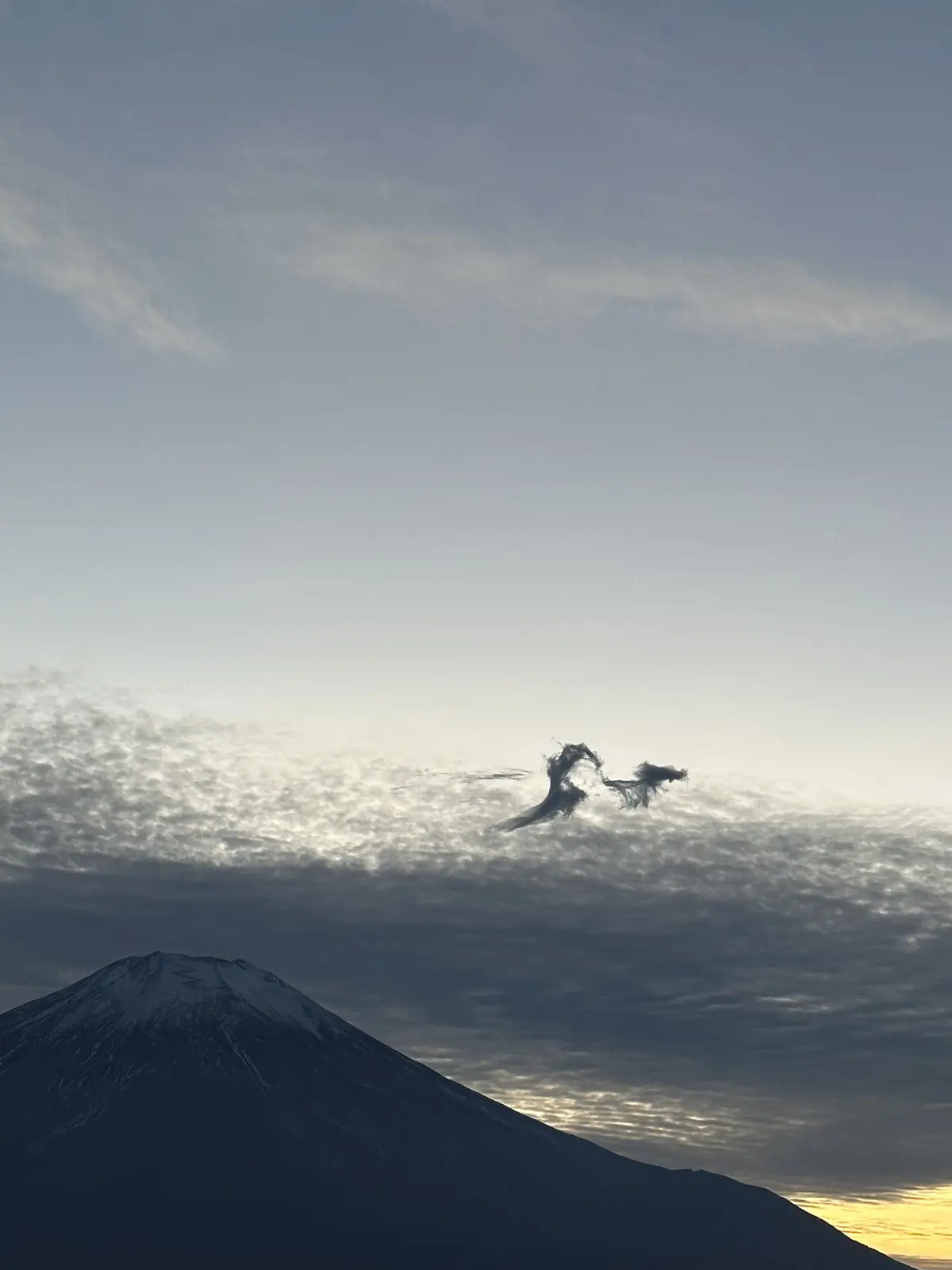 会員制人間ドッグ　グランドハイメディックの画像_13