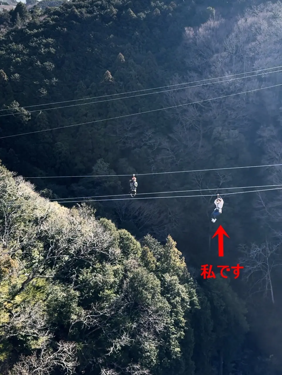 三島スカイウォーク ジップライン